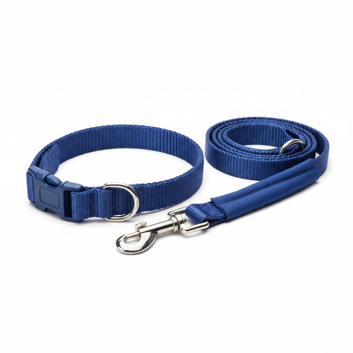 Kit coleira e trela para cão
